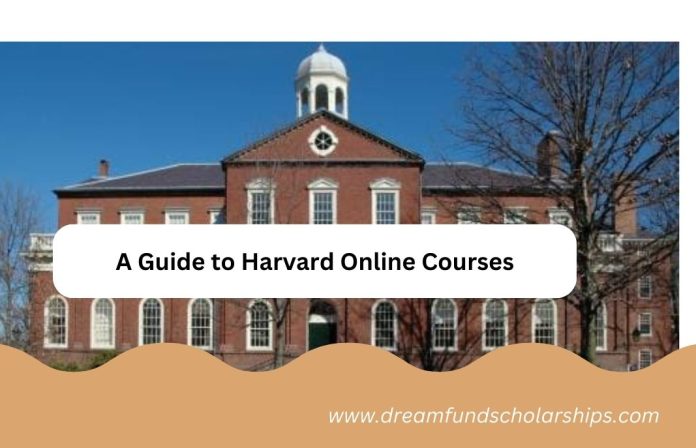 Unlock Your Potential: A Guide to Harvard Online Courses