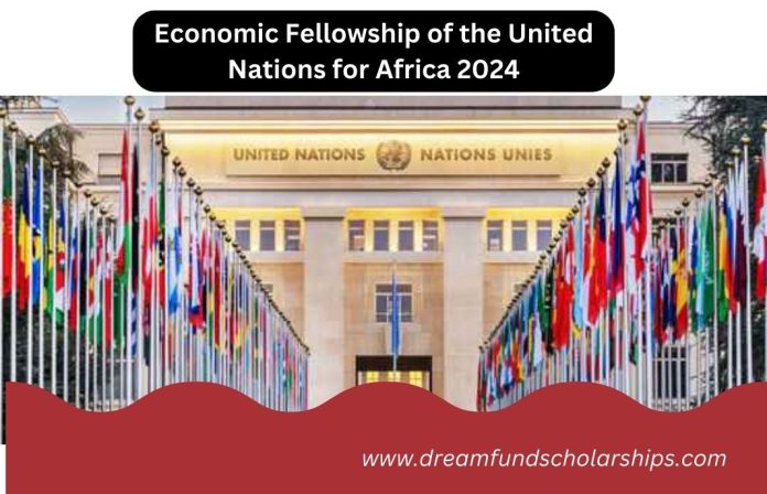 Economic Fellowship of the United Nations for Africa 2024