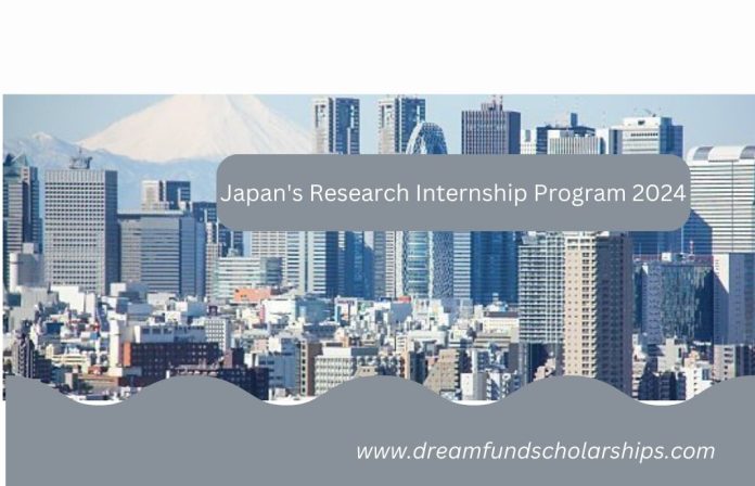 Japan's Research Internship Program 2024