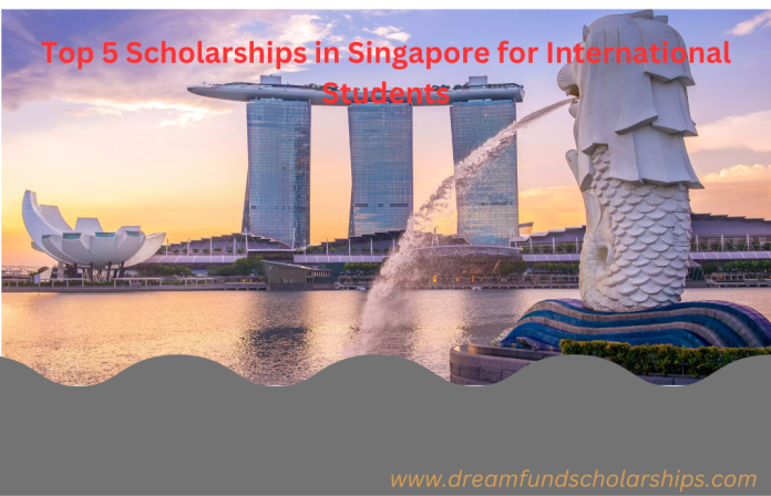 Top 5 Scholarships in Singapore for International Students