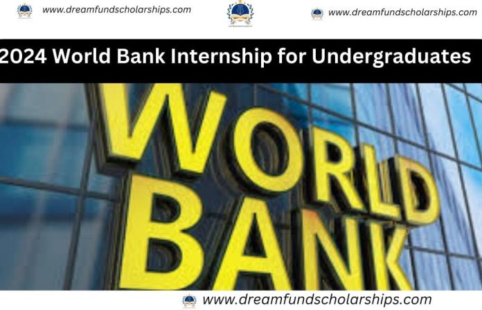 2024 World Bank Internship for Undergraduates