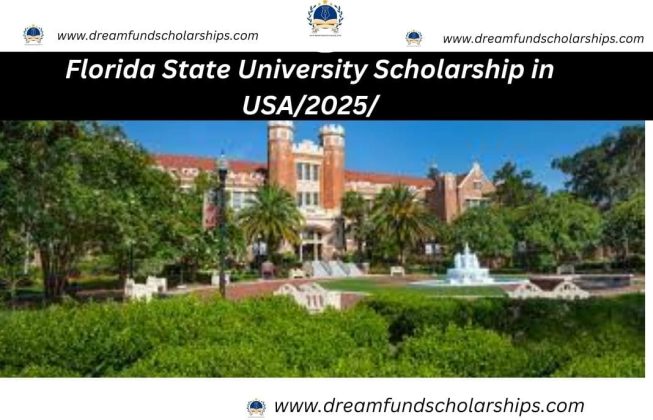 Florida State University Scholarship in USA/2025/