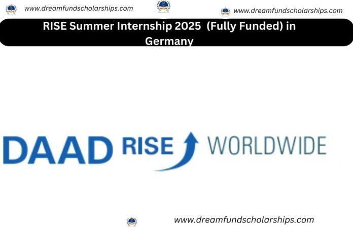 RISE Summer Internship 2025